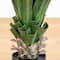 Nearly Natural; 4ft. UV Resistant Artificial Spiked Agave Plant in White Tower Planter (Indoor/Outdoor); Category:Trees & Floor Plants; Image:7